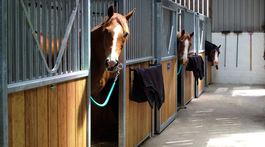 Wellington boot racks
